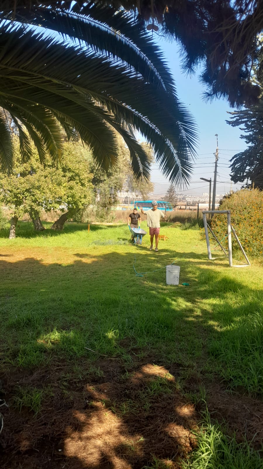 WhatsApp Image 2025-06-13 at 20.06.03